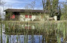 Impression 3 - Natur- und Vogelschutzverein Lyss
