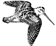 Logo - Naturschutzverein NVA