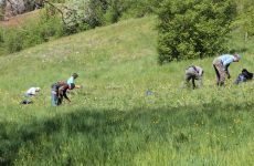 Impression 5 - Natur- und Vogelschutzverein Muri-Gümligen-Rüfenacht