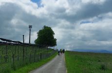 Impression 1 - Naturfreunde Baar
