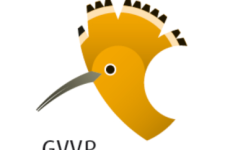 Impression 0 - Gesellschaft für Vogelkunde und Vogelschutz Riehen