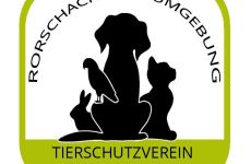 Impression 5 - Tierschutzverein Rorschach und Umgebung