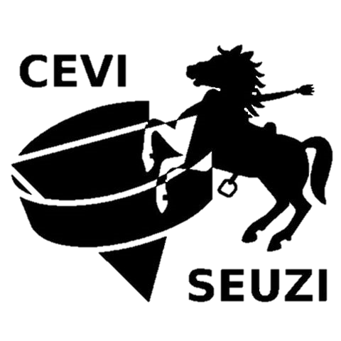 Logo - Cevi Seuzach