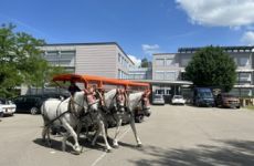 Impression 3 - Kleintierzüchterverein Sirnach