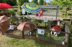 Impression 5 - Kleintierzüchterverein Sirnach