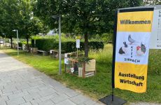 Impression 4 - Kleintierzüchterverein Sirnach