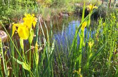 Impression 1 - Natur- und Vogelschutzverein Uzwil