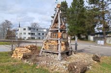 Impression 0 - Natur- und Vogelschutzverein Uzwil