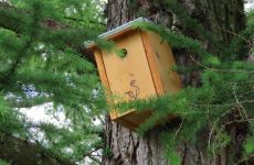 Impression 4 - Natur- und Vogelschutzverein Uzwil