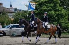 Impression 0 - Reitverein Wetzikon Gossau