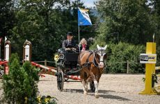 Impression 1 - Reitverein Wetzikon Gossau