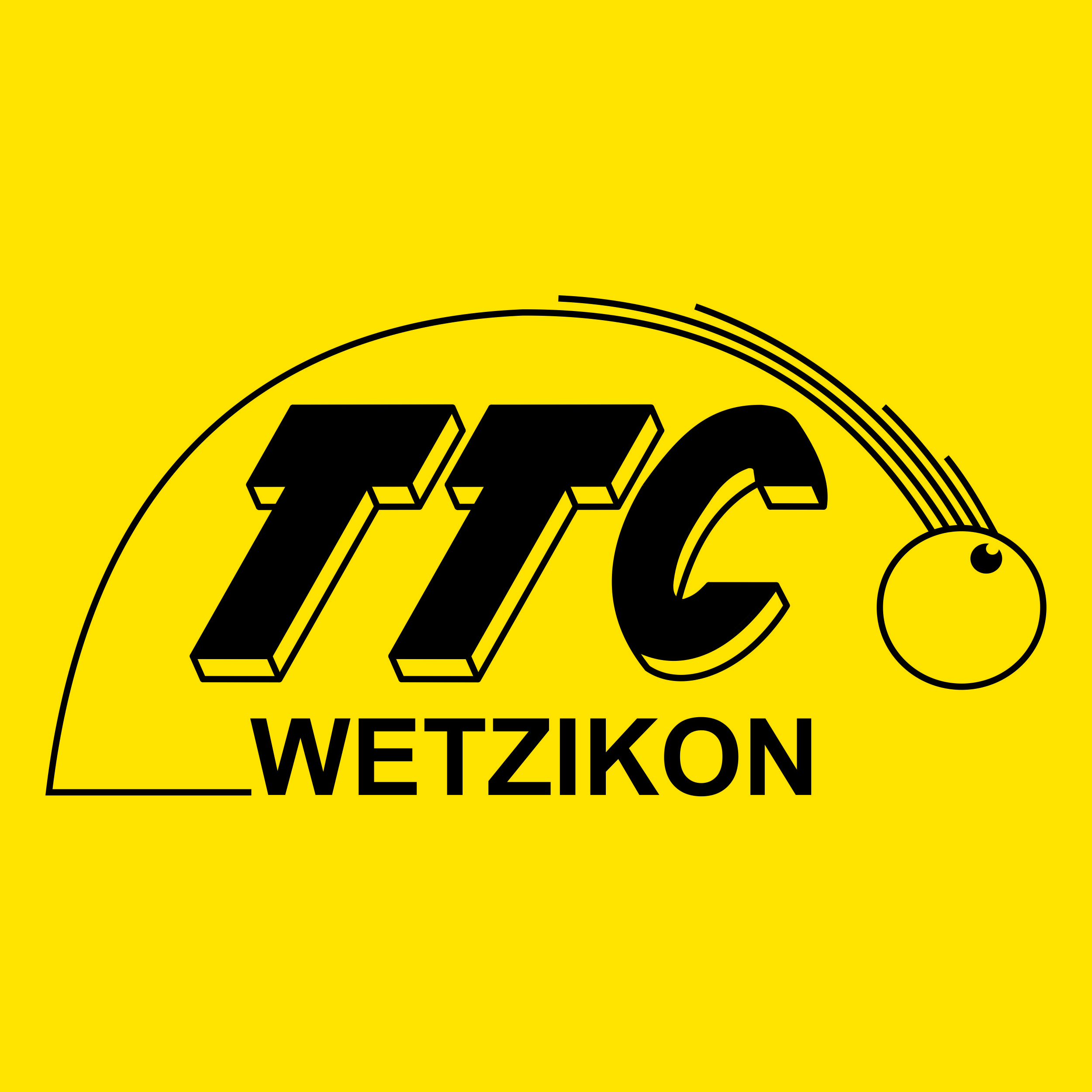 Logo - Tischtennisclub Wetzikon