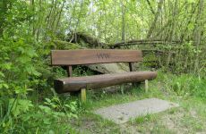 Impression 3 - Verkehrsverein Wittenbach