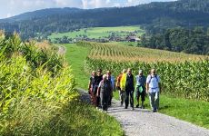 Impression 4 - Verkehrsverein Wittenbach