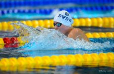 Impression 0 - Schwimmverein St.Gallen-Wittenbach