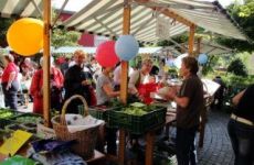 Impression 1 - Verein Ökogemeinde Binningen