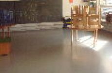 Impression 1 - Kinder- und Waldspielgruppe Zofingen