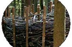 Impression 4 - Kinder- und Waldspielgruppe Zofingen