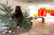 Impression 2 - Theatergruppe Winznau