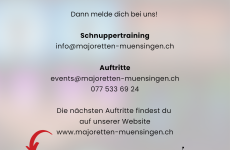 Impression 1 - Majoretten Münsingen