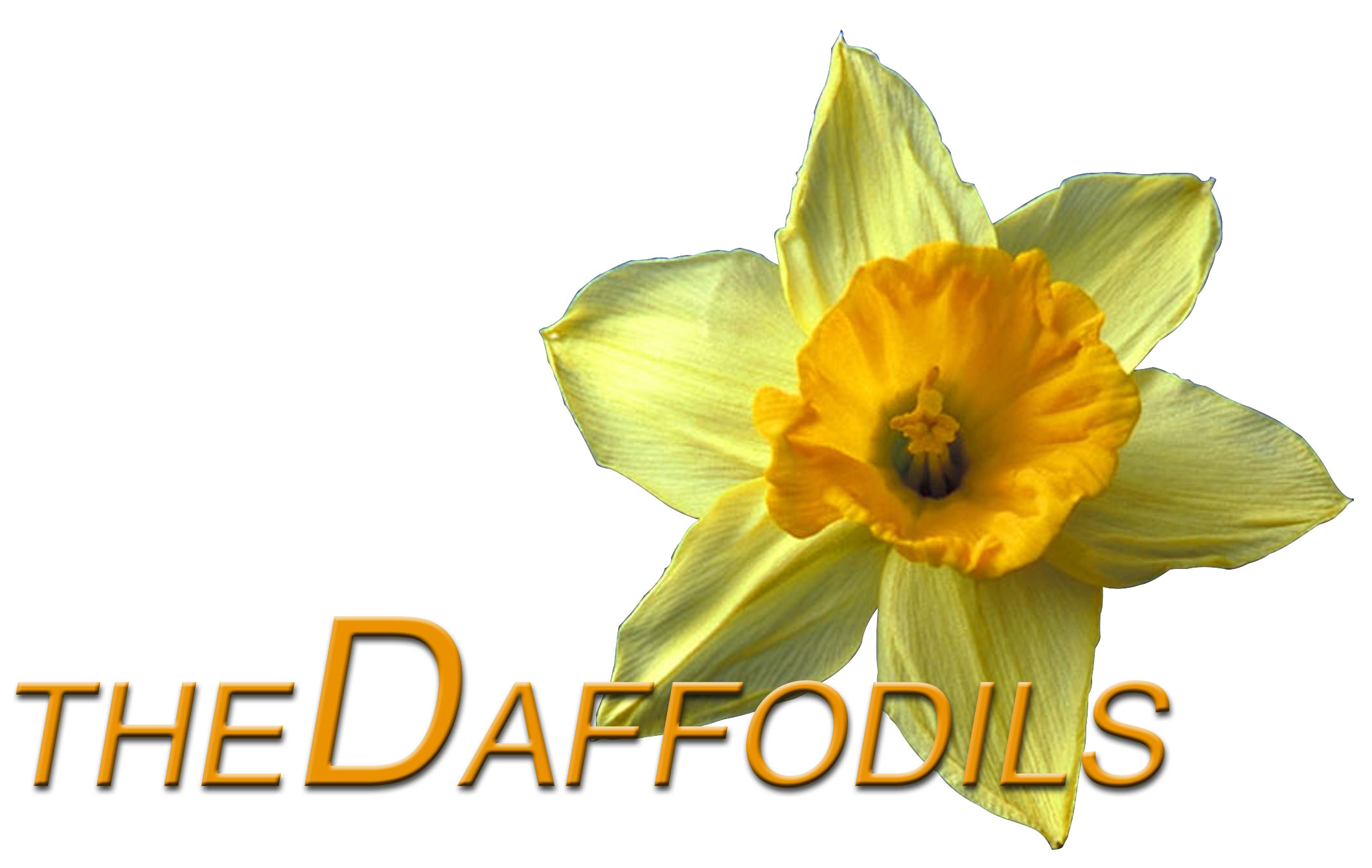 Logo - The Daffodils