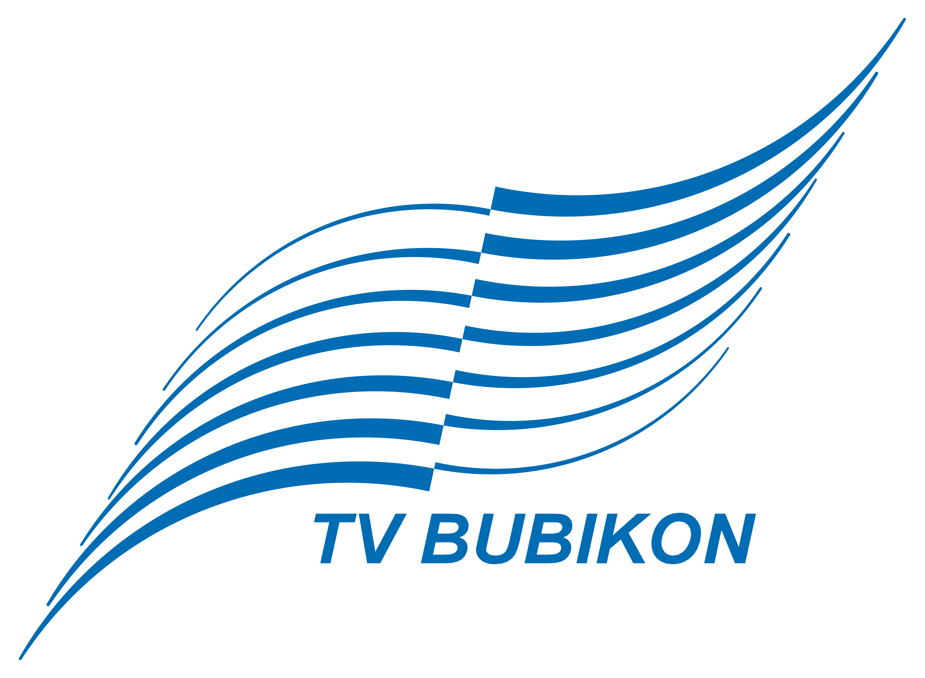 Logo - Turnverein Bubikon