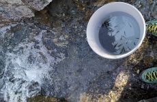 Impression 0 - Sportfischerverein Thusis und Umgebung