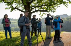 Impression 2 - Natur- und Vogelschutzverein Würenlos / BirdLife Würenlos
