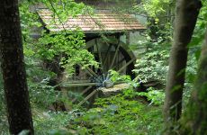 Impression 4 - Museumsgesellschaft Bütschwil
