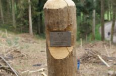 Impression 0 - Natur- und Vogelschutzverein Oberkulm