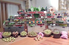 Impression 2 - Landfrauen Romanshorn-Salmsach