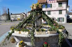 Impression 5 - Landfrauen Romanshorn-Salmsach