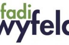 Impression 0 - Pfadi Wyfelde Weinfelden