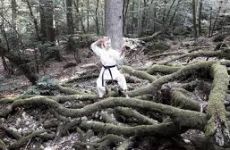 Impression 2 - Shozindo (Karate) Dojo Winterthur