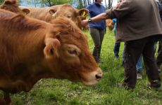 Impression 0 - Naturfreunde Chur