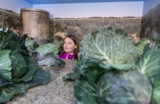 Impression 3 - Stiftung Schweizerisches Agrarmuseum Burgrain