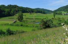 Impression 0 - Naturschutzverein Flawil und Umgebung