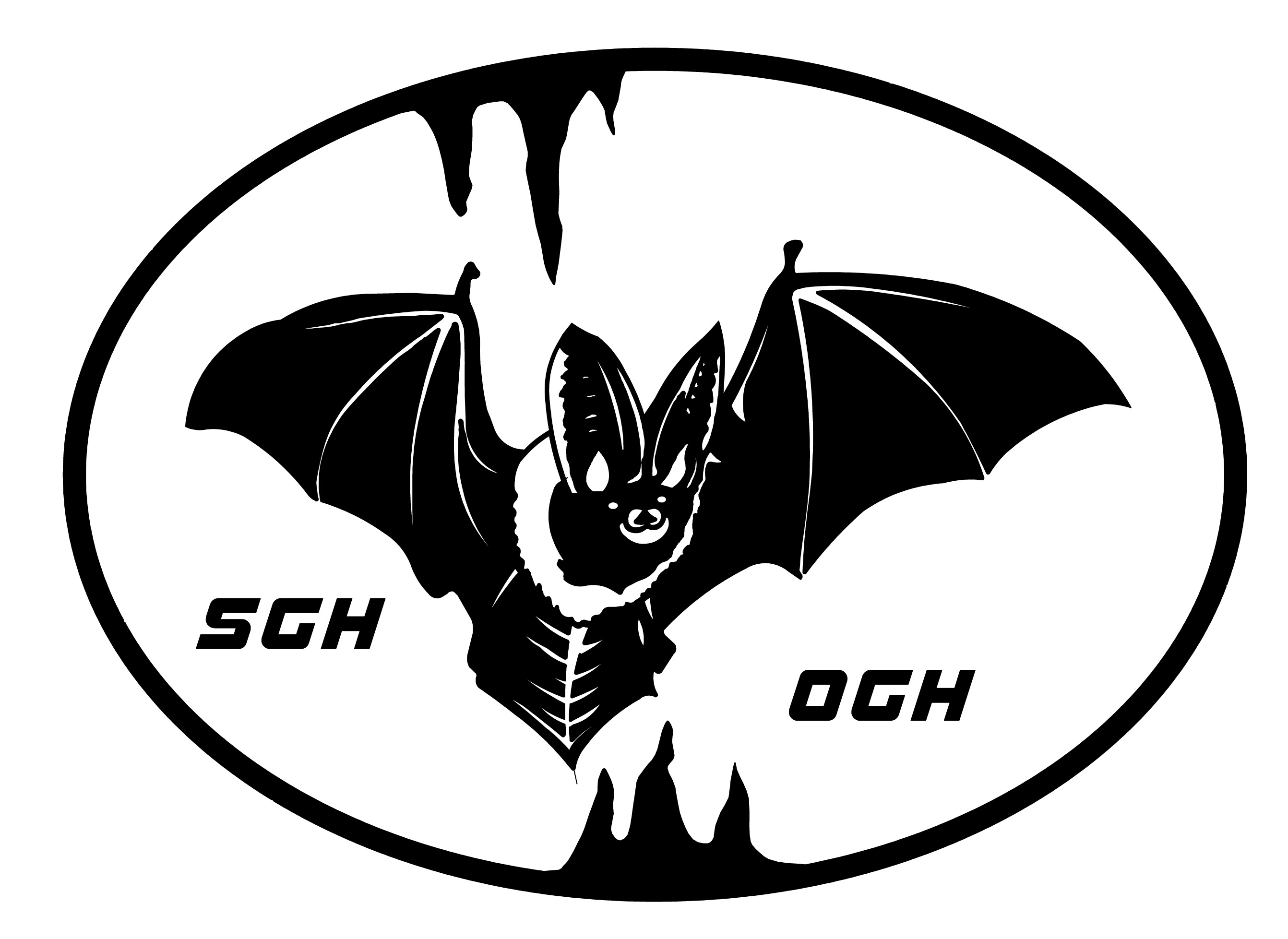 Logo - Ostschweizerische Gesellschaft für Höhlenforschung (OGH)