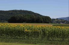 Impression 3 - Modellflugverein Wettingen