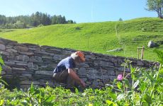 Impression 0 - Schweizer Bergheimat