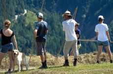 Impression 1 - Schweizer Bergheimat