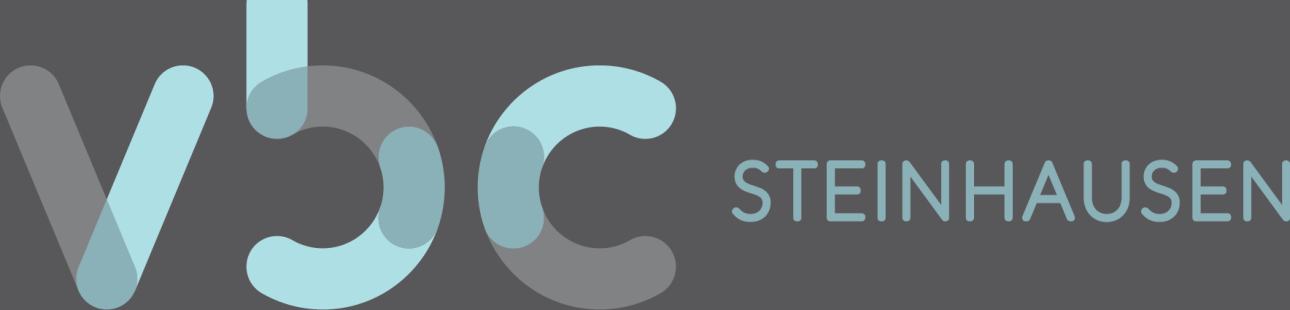Logo - VBC Steinhausen