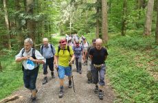 Impression 0 - SENIOR MACH MIT