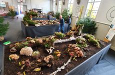 Impression 0 - Pilzverein Murten und Umgebung