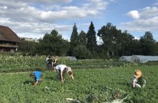 Impression 3 - Verein Solidarische Landwirtschaft Setzhouz