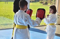 Impression 5 - RapaNui Self-Defense Club