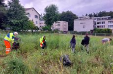 Impression 0 - Natur- und Vogelschutz Münchenbuchsee und Umgebung
