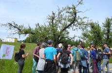 Impression 2 - Natur- und Vogelschutz Münchenbuchsee und Umgebung