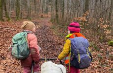 Impression 1 - naturspielwald