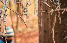 Impression 4 - naturspielwald